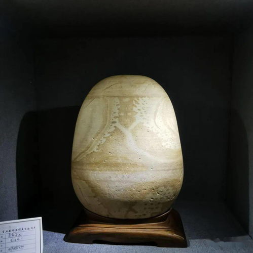 中國賞石藝術(shù)雙年展 水泥構(gòu)件中的別有洞天