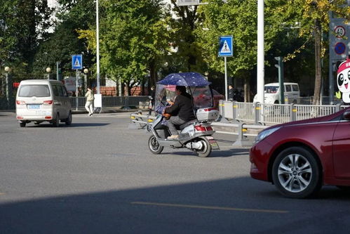 寶興縣規(guī)范電動三輪與四輪車管理 上路需持證上牌，強化生產(chǎn)源頭治理